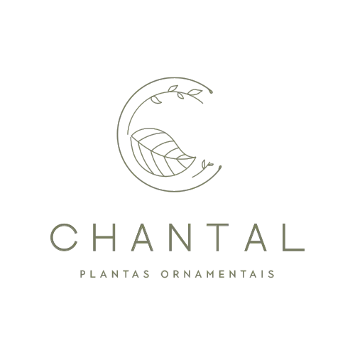 Logo Cliente